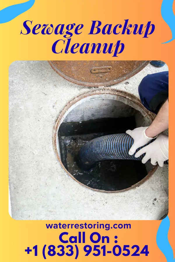 Sewage Backup Cleanup in Ewa Villages, HI